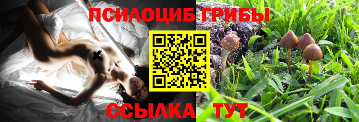 Галлюциногенные грибы GOLDEN TEACHER Саяногорск